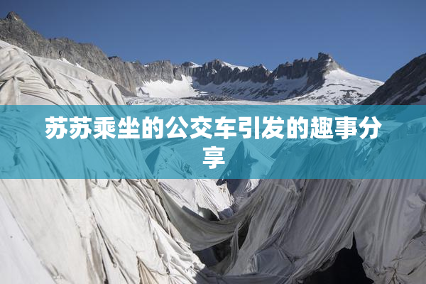 苏苏乘坐的公交车引发的趣事分享