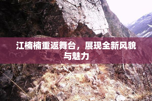 江楠楠重返舞台，展现全新风貌与魅力
