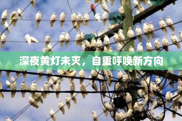 深夜黄灯未灭，自重呼唤新方向