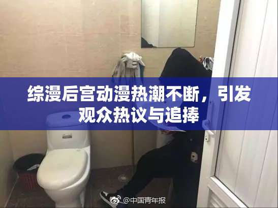 综漫后宫动漫热潮不断，引发观众热议与追捧