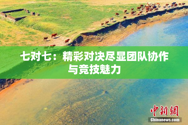 七对七：精彩对决尽显团队协作与竞技魅力