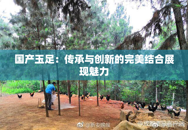 国产玉足：传承与创新的完美结合展现魅力