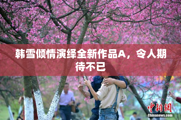 韩雪倾情演绎全新作品A，令人期待不已