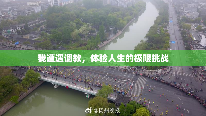 我遭遇调教，体验人生的极限挑战
