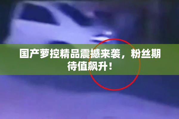 国产萝控精品震撼来袭，粉丝期待值飙升！