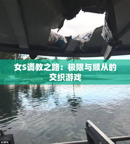 女S调教之路：极限与顺从的交织游戏