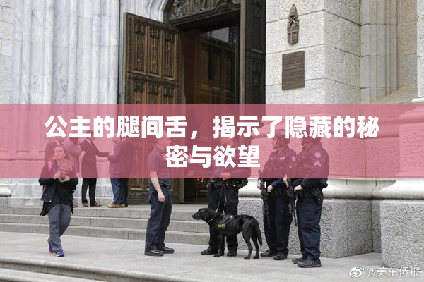 公主的腿间舌，揭示了隐藏的秘密与欲望
