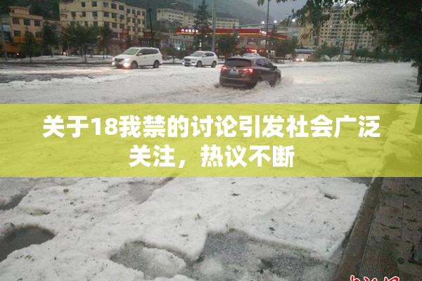 关于18我禁的讨论引发社会广泛关注，热议不断