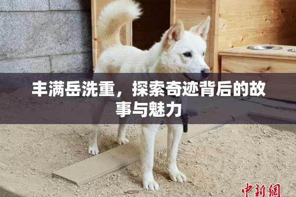 丰满岳洗重，探索奇迹背后的故事与魅力