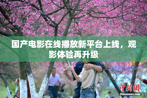 国产电影在线播放新平台上线，观影体验再升级