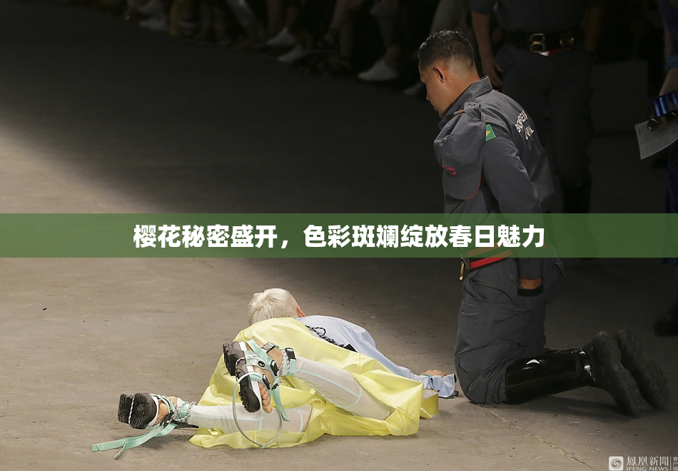 樱花秘密盛开，色彩斑斓绽放春日魅力