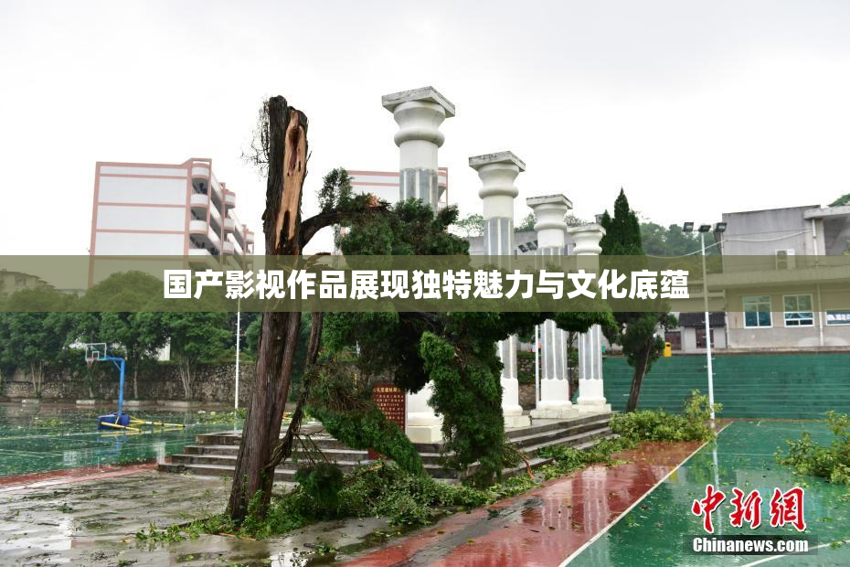国产影视作品展现独特魅力与文化底蕴