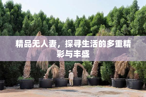 精品无人妻，探寻生活的多重精彩与丰盛