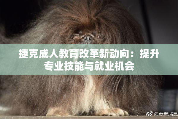 捷克成人教育改革新动向：提升专业技能与就业机会