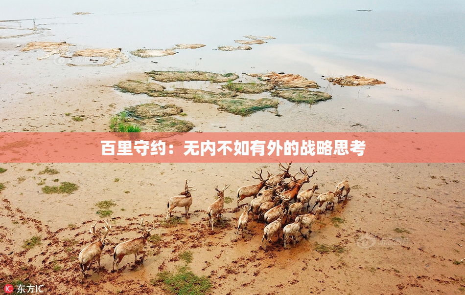 百里守约：无内不如有外的战略思考
