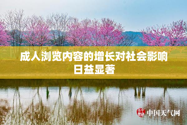 成人浏览内容的增长对社会影响日益显著