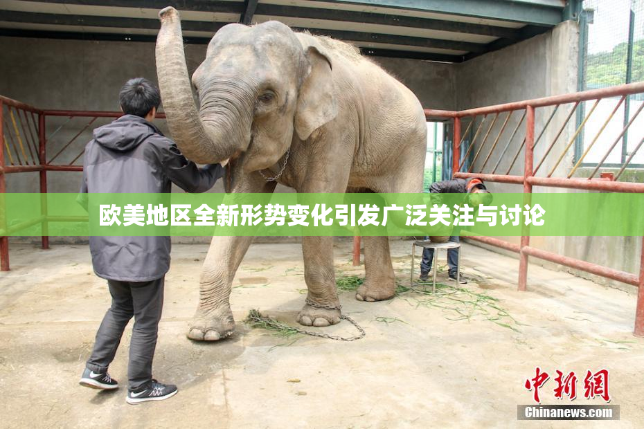 欧美地区全新形势变化引发广泛关注与讨论