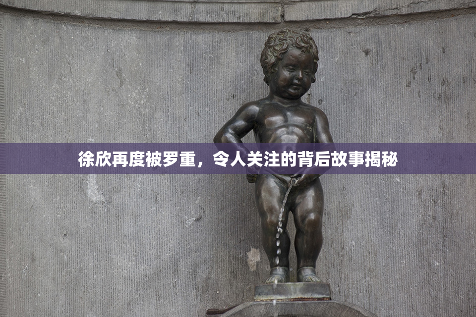 徐欣再度被罗重，令人关注的背后故事揭秘