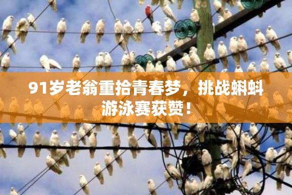 91岁老翁重拾青春梦，挑战蝌蚪游泳赛获赞！