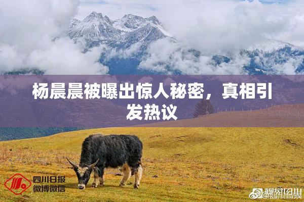 杨晨晨被曝出惊人秘密，真相引发热议