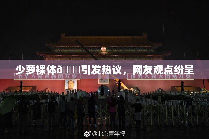 少萝裸体🔞引发热议，网友观点纷呈