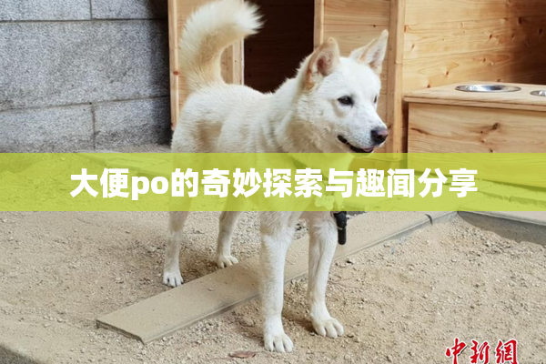大便po的奇妙探索与趣闻分享