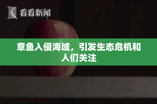章鱼入侵海域，引发生态危机和人们关注