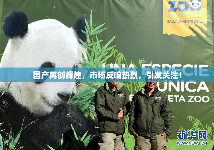 国产再创辉煌，市场反响热烈，引发关注！