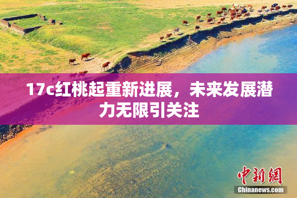 17c红桃起重新进展，未来发展潜力无限引关注