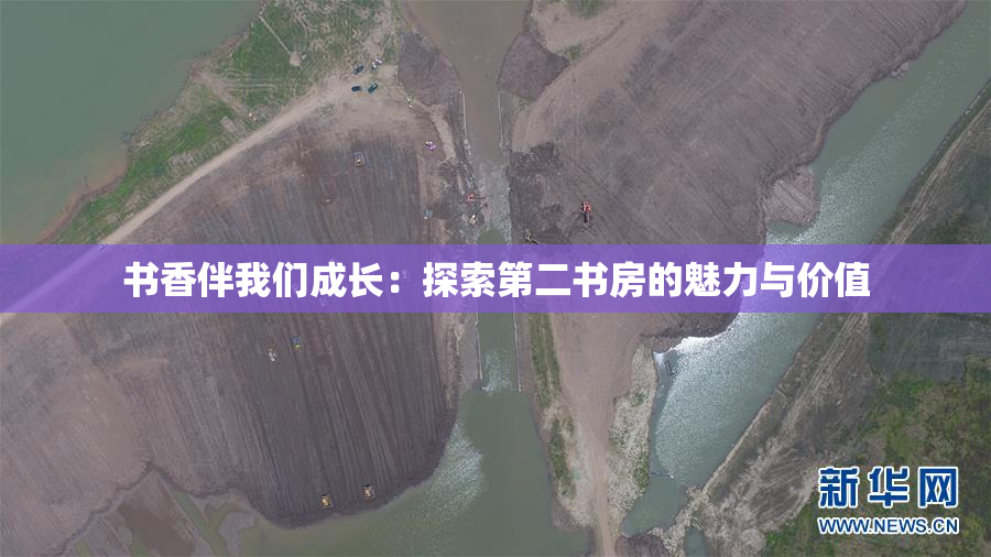 书香伴我们成长：探索第二书房的魅力与价值