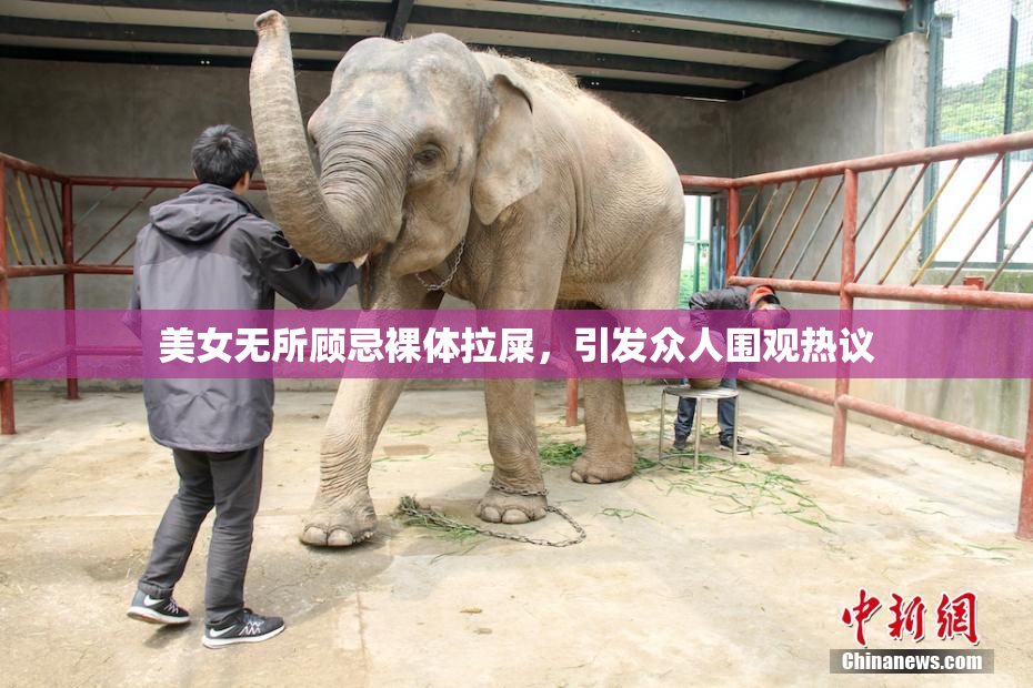 美女无所顾忌裸体拉屎，引发众人围观热议