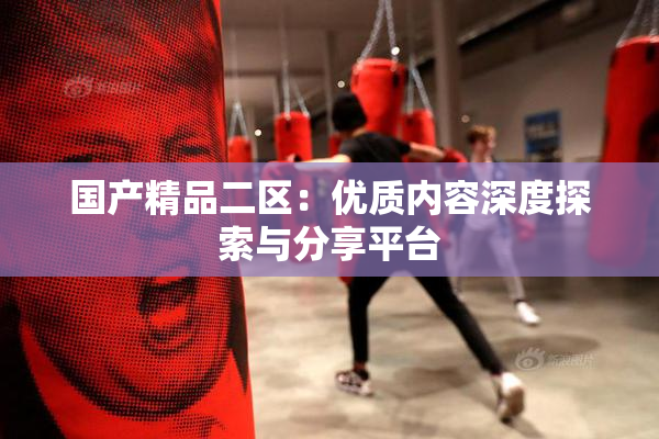 国产精品二区：优质内容深度探索与分享平台