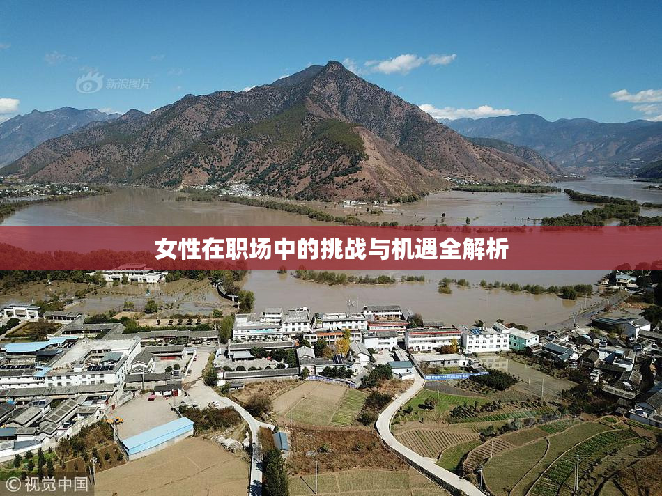 女性在职场中的挑战与机遇全解析