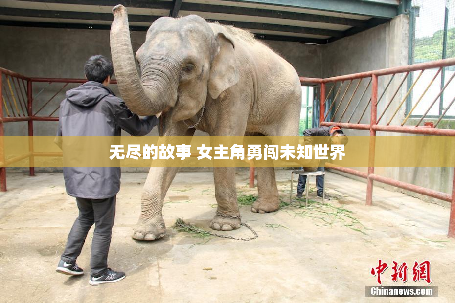 无尽的故事 女主角勇闯未知世界