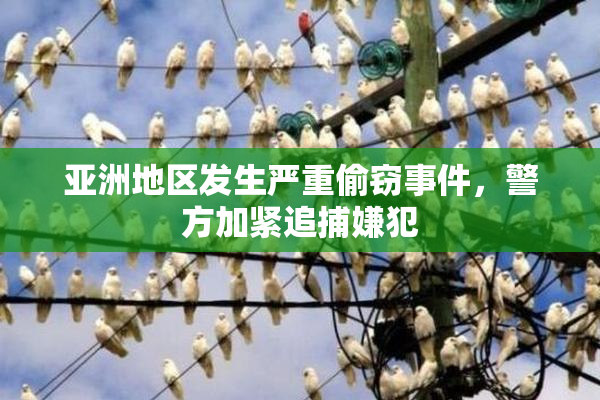 亚洲地区发生严重偷窃事件，警方加紧追捕嫌犯