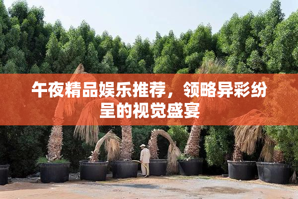 午夜精品娱乐推荐，领略异彩纷呈的视觉盛宴
