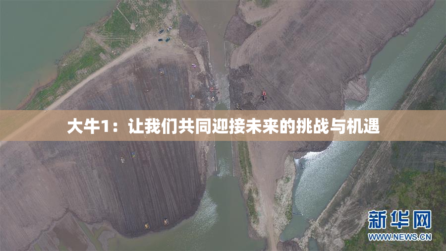 大牛1：让我们共同迎接未来的挑战与机遇