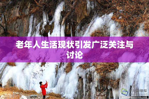 老年人生活现状引发广泛关注与讨论