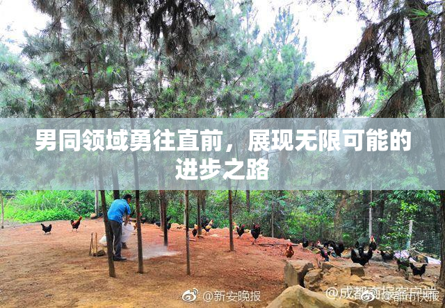 男同领域勇往直前，展现无限可能的进步之路