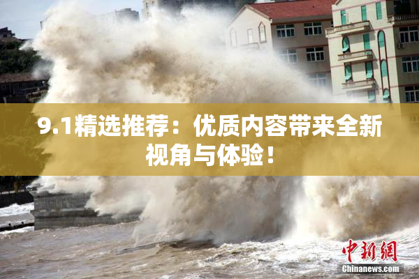 9.1精选推荐：优质内容带来全新视角与体验！