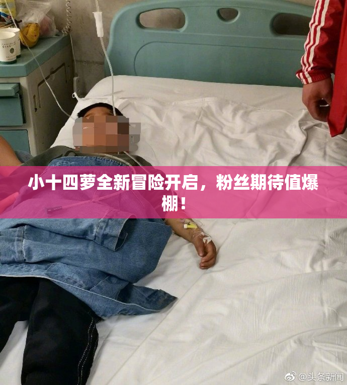 小十四萝全新冒险开启，粉丝期待值爆棚！