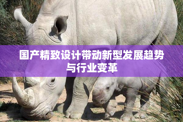 国产精致设计带动新型发展趋势与行业变革