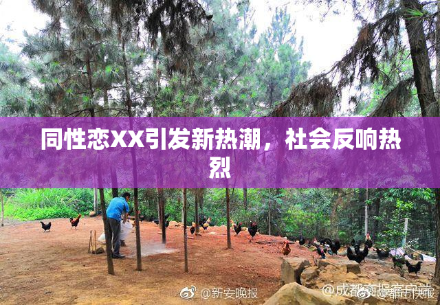 同性恋XX引发新热潮，社会反响热烈