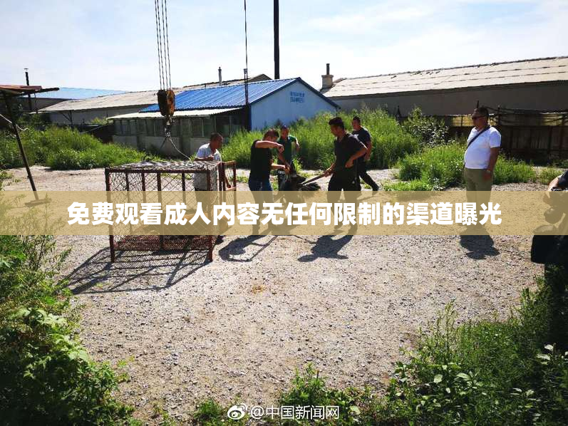 免费观看成人内容无任何限制的渠道曝光