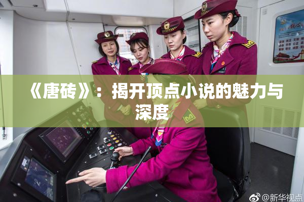《唐砖》：揭开顶点小说的魅力与深度