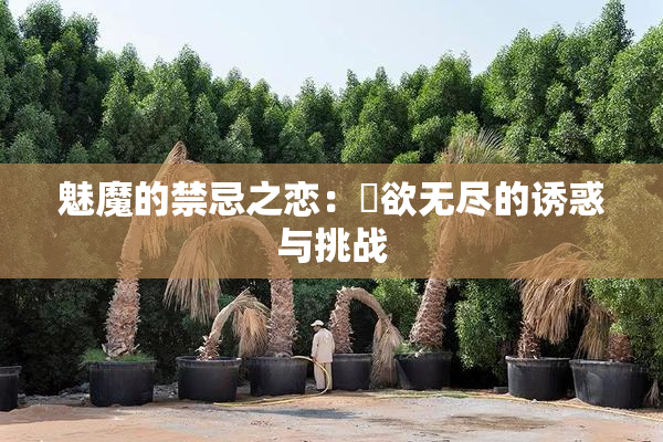 魅魔的禁忌之恋：婬欲无尽的诱惑与挑战