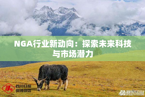 NGA行业新动向：探索未来科技与市场潜力