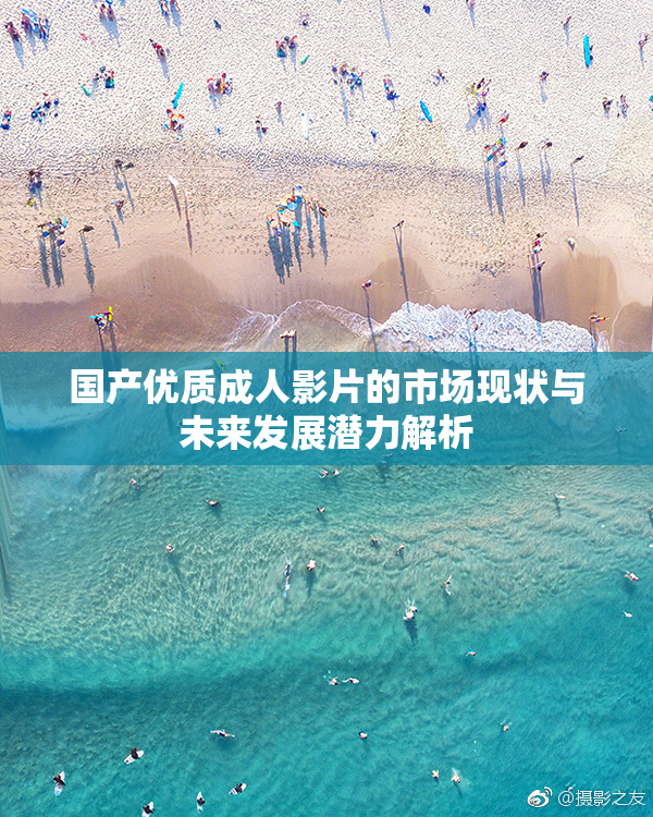 国产优质成人影片的市场现状与未来发展潜力解析