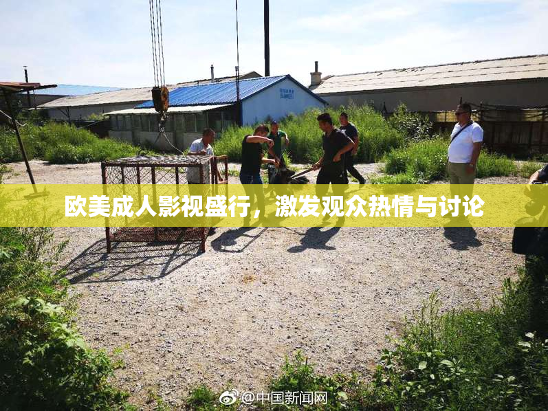 欧美成人影视盛行，激发观众热情与讨论