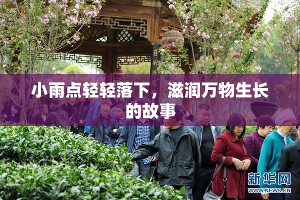 小雨点轻轻落下，滋润万物生长的故事